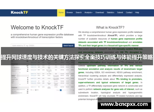 提升网球速度与技术的关键方法探索全面技巧训练与体能提升策略