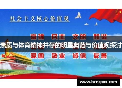 素质与体育精神并存的明星典范与价值观探讨
